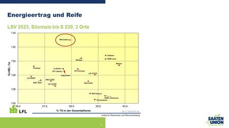 MICHELEEN: viel Energie
