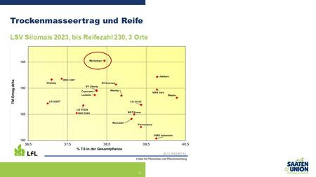 MICHELEEN: Top Silomais