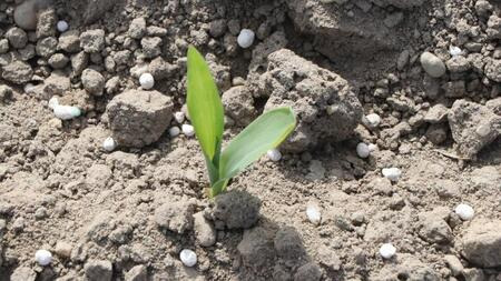 Saattermin 1: 05.04.2019 (Aufnahme vom 24.04.2019)