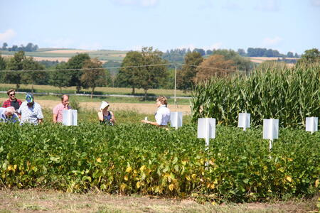 Sojainfotag an der Versuchstation Bayern