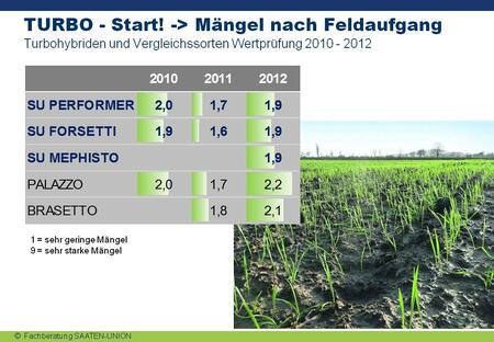 Feldaufgang - besserer Start 1