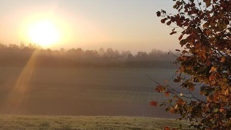 Herbstliche Stimmung an der Versuchsstation