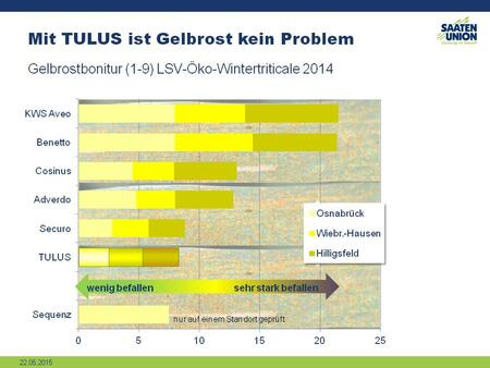 Tulus: gut gegen Gelbrost