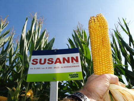 Wahnsinn diese Hammerkolben!!!!