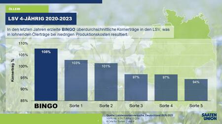 Öllein BINGO in den LSV