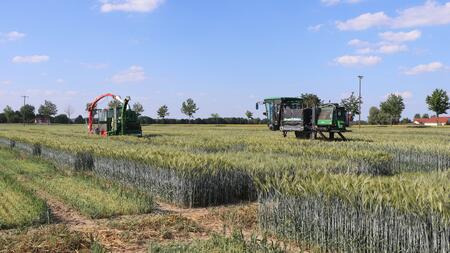 BreedVision-Phänotypisierungsplattform und Versuchshäcksler