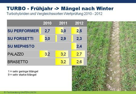 Frühjahr Schäden nach Winter - besserer Start 2