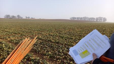 Etikettieren der Rapsversuche - Februar 2021