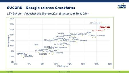 SUCORN: energiereiches Futter