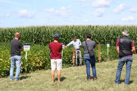 Franz Unterforsthuber - Sojasorten