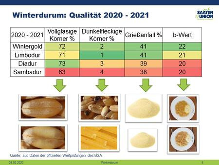 Qualität Wintergold