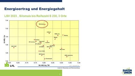 MICHELEEN: viel Energie