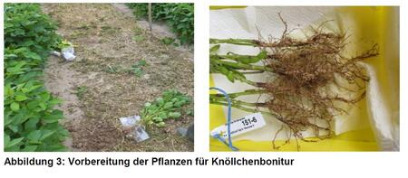 Zum Vergrößern bitte Anklicken