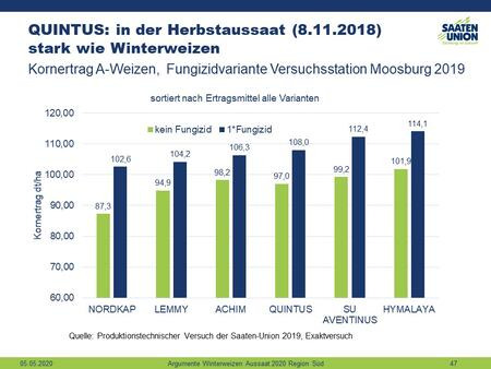 QUINTUS bei Herbstaussaat