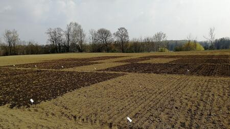 Gülle und Gärrest Düngungsversuch 2019