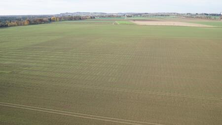 Versuchsfläche Winterweizen
