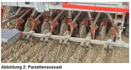 Parzellenaussaat; zum Vergrößern bitte anklicken
